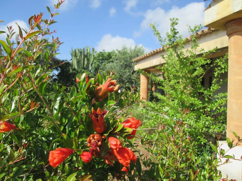 A Giummara Guest House Marsala Country house